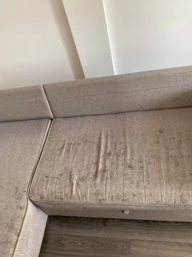 Beograd dubinsko pranje