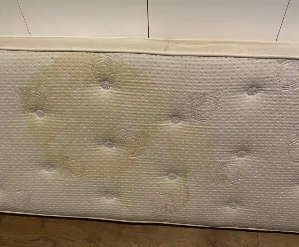 Dubinsko Beograd cena