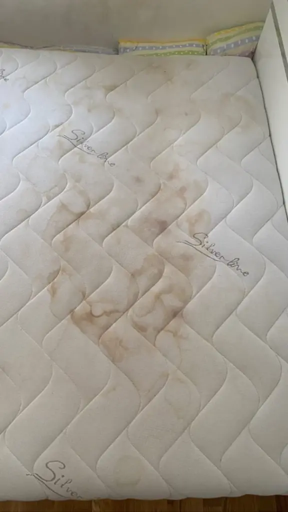 Dubinsko pranje duseka pre