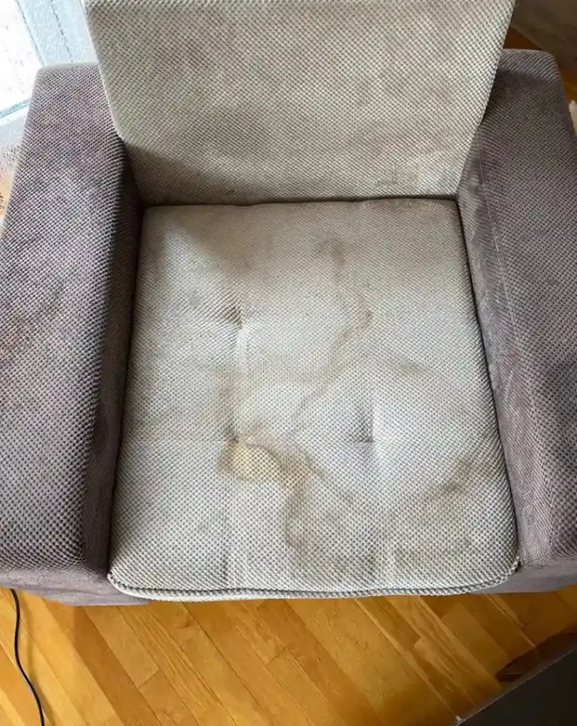 Dubinsko pranje fotelje cena