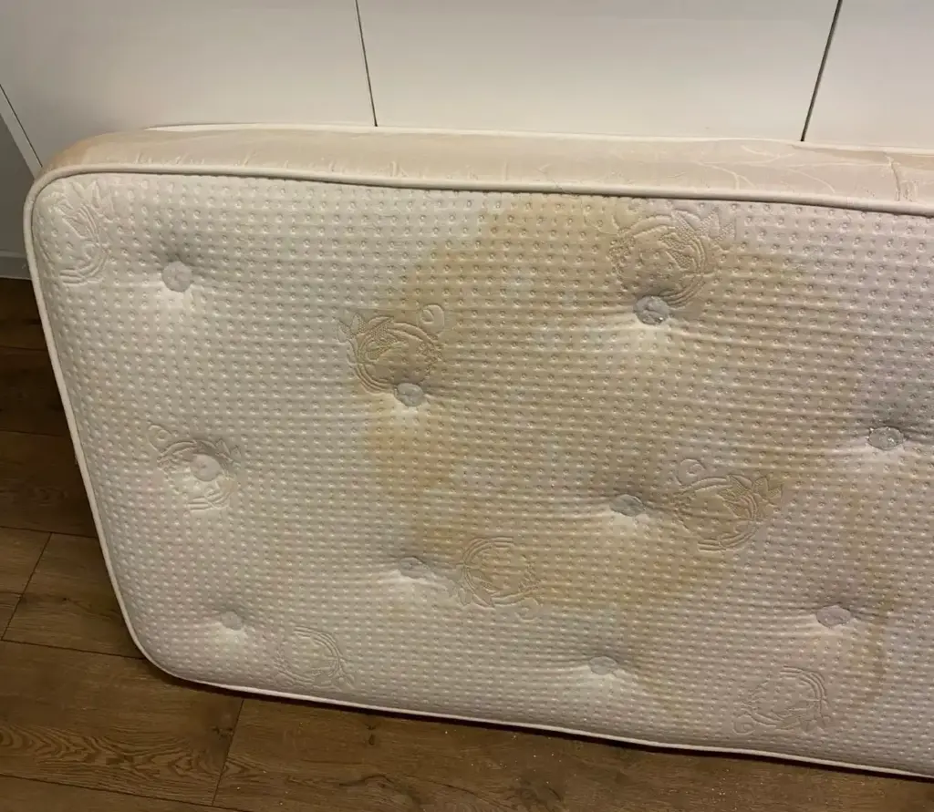 Dušek dubinsko pranje