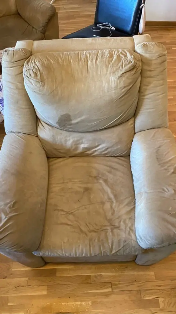 Kozna fotelja dubinsko pranje pre