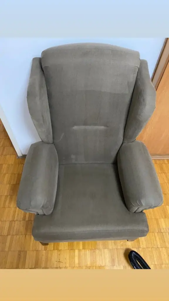 siva kozna fotelja dubinsko pranje posle