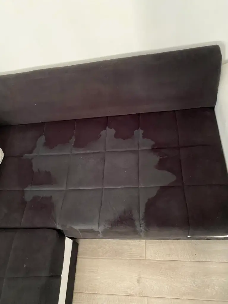 skidanje fleka dubinsko pranje crna ugaona garnitura